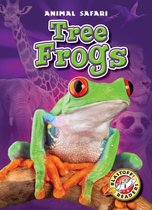 Animal Safari - Tree Frogs