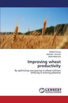 Improving wheat productivity