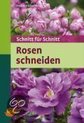 Rosen Schneiden