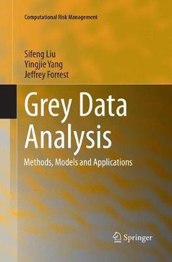 Computational Risk Management- Grey Data Analysis - cover