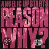 Reason Why?: The Punk Collectors Series