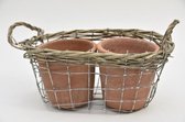 Woonaccessoires - Draadmand Met Riet En 2 Terracotta Potten 28x15x12/17cm