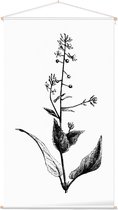 Groot Heksenkruid zwart-wit (Enchanters Nightshade) - Foto op Textielposter - 60 x 90 cm