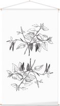 Berk zwart-wit plus (Birch) - Foto op Textielposter - 60 x 90 cm