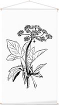 Zevenblad zwart-wit (Gout Weed) - Foto op Textielposter - 60 x 90 cm