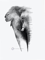 Peinture - éléphant sur fond blanc