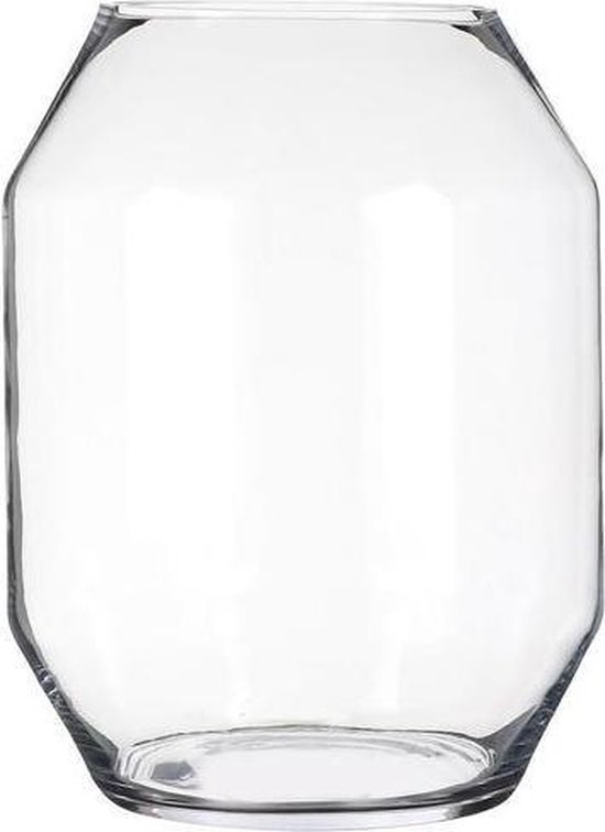 Glazen Vazen En Flessen - Dali Vaas Glas - H33xd25cm | bol.com