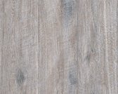 HOUTMOTIEF BEHANG - Beige Bruin Grijs - AS Creation Midlands