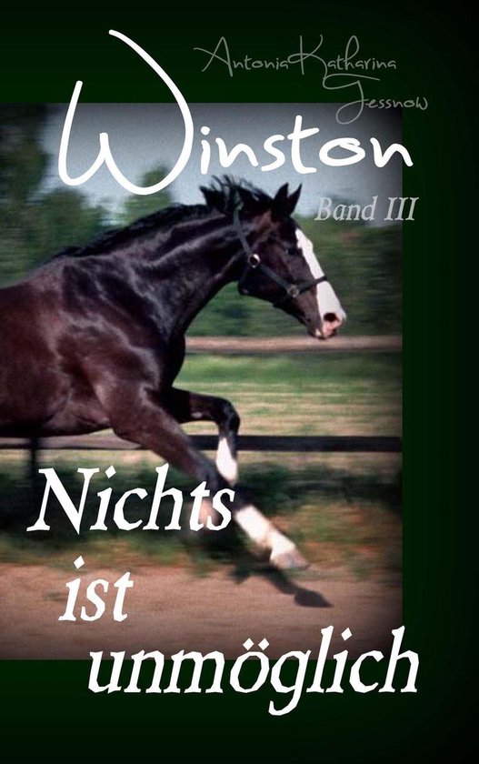 Winston 3 - Winston - Nichts ist unmöglich - cover