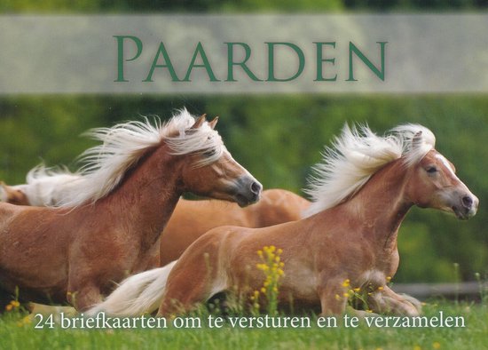 Foto: Prentbriefkaarten paarden 24 stuks 