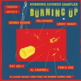Burning Up - A Burning Sounds Sampler