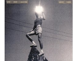 Top 10 Triphop en Breakbeat Albums 2026: Mount Kimbie – Love What Survives