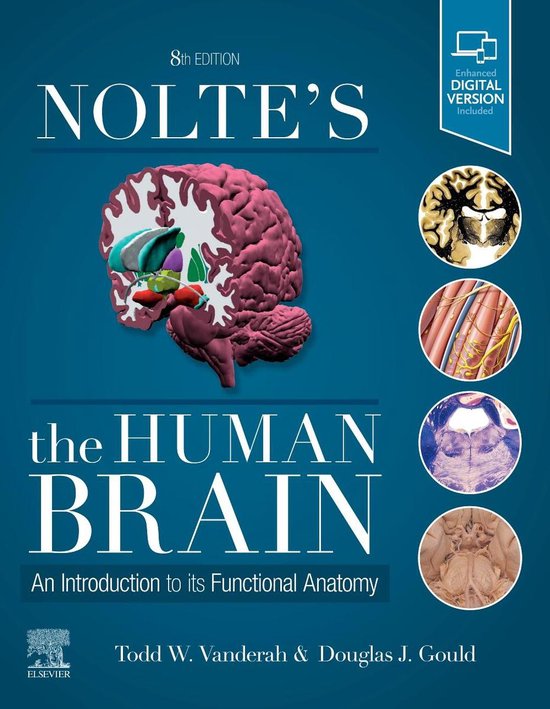 Couverture du livre Nolte's The Human Brain, 8e édition, avec une illustration anatomique du cerveau.