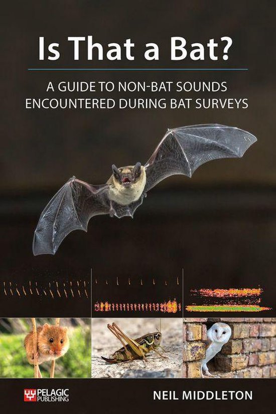 Bat Biology and Conservation - Is That a Bat? - cover