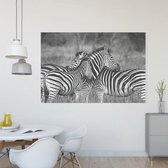 Canvas Schilderij | Zebra  | 60 x 40 cm | PosterGuru