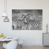 Schilderij op Canvas | Zebra  | 90 x 60 cm | PosterGuru