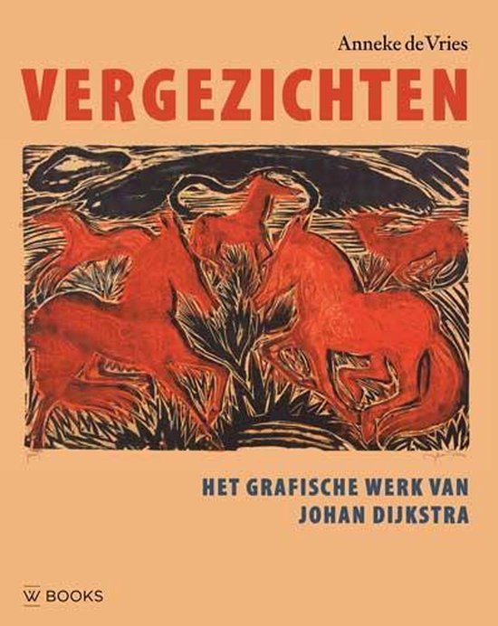 Vergezichten - cover