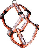 Karlie joy plus day&night tuig voor hond sport oranje 20 mmx45-70 cm