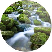 Mossige Stenen Waterval  | Wanddecoratie | 80CM x 80CM | Schilderij | Foto op plexiglas | natuur | Landschappen