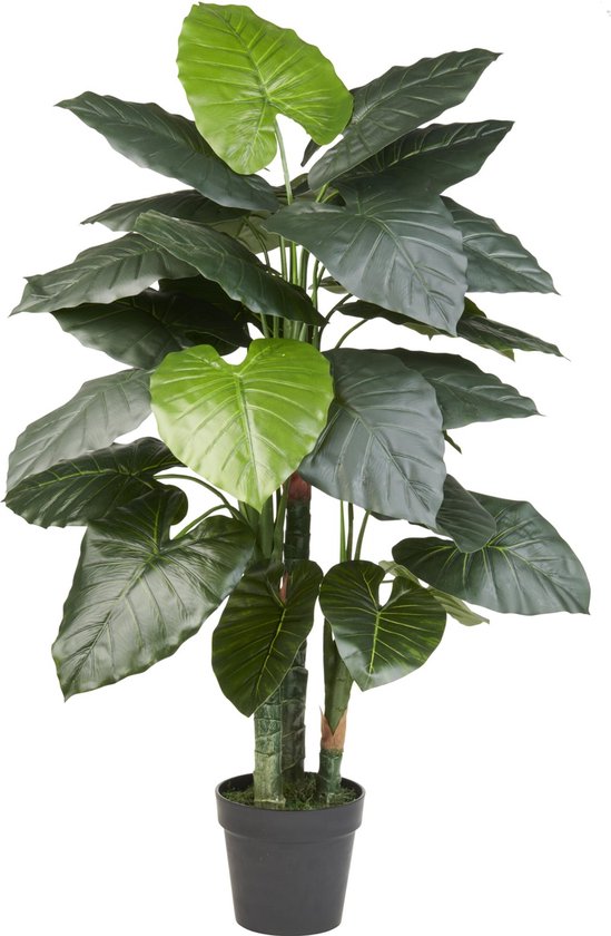 Kunstplant met grote, glanzende, donkergroene bladeren en enkele lichtere bladeren, in een zwarte pot.