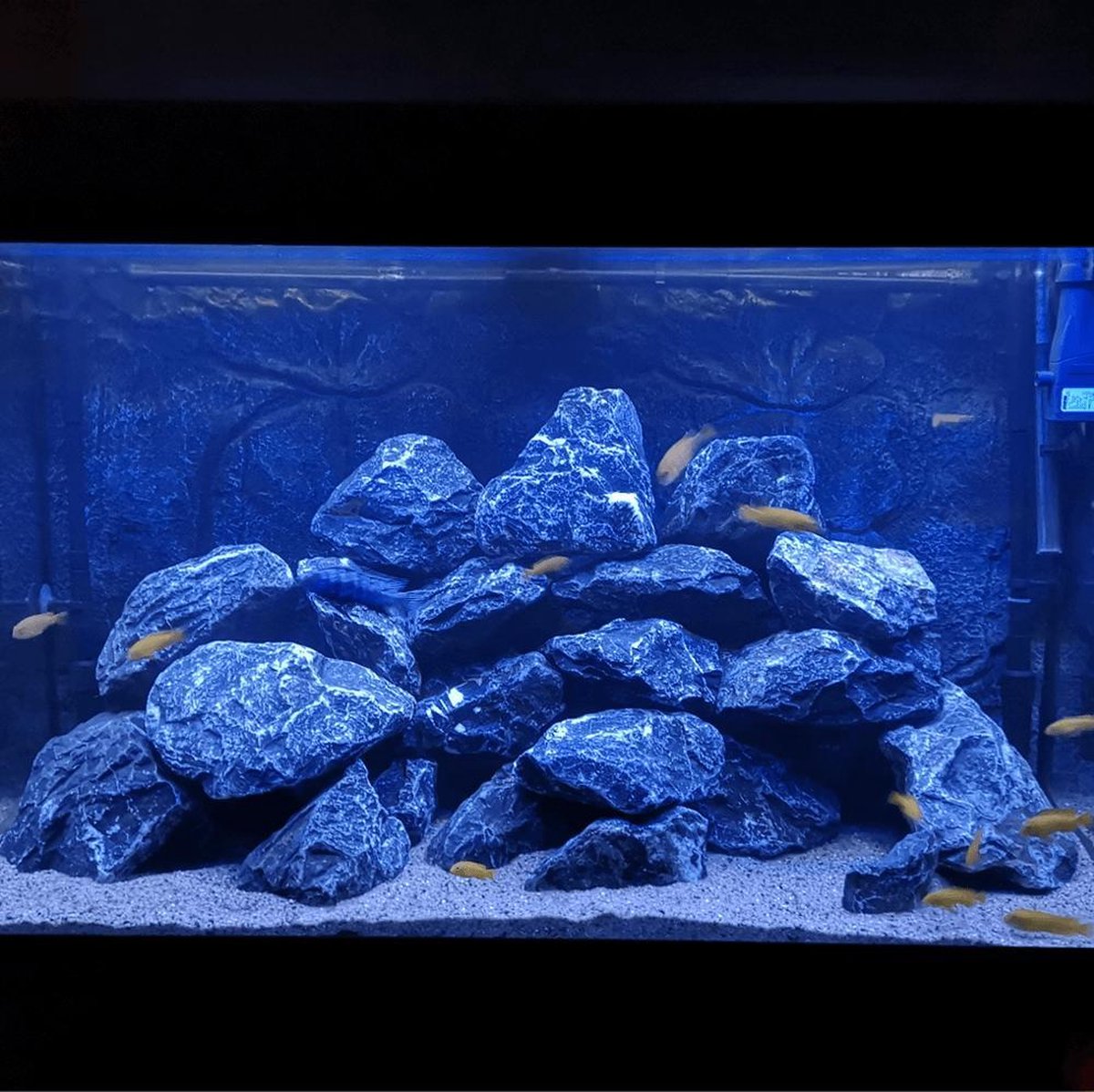 Aquarium led strip 70 t/m 100 cm BLAUW Complete set met bediening | bol.com