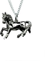 Zij zijn Derbevilletest etiket massief .925 Zilver - Paard Arabier spelend - merk COOLDOG™ - ketting  Hanger Paarden... | bol.com