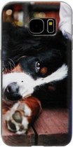 ADEL Siliconen Back Cover Softcase Hoesje Geschikt voor Samsung Galaxy S7 - Berner Sennenhond