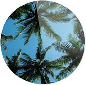 Palmbomen | Wanddecoratie | 80CM x 80CM | Schilderij | Foto op plexiglas | natuur | Landschappen