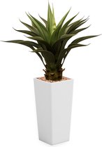 HTT - Kunstplant Agave vetplant in Clou vierkant wit H100 cm
