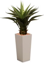 HTT - Kunstplant Agave vetplant in Clou vierkant taupe H100 cm