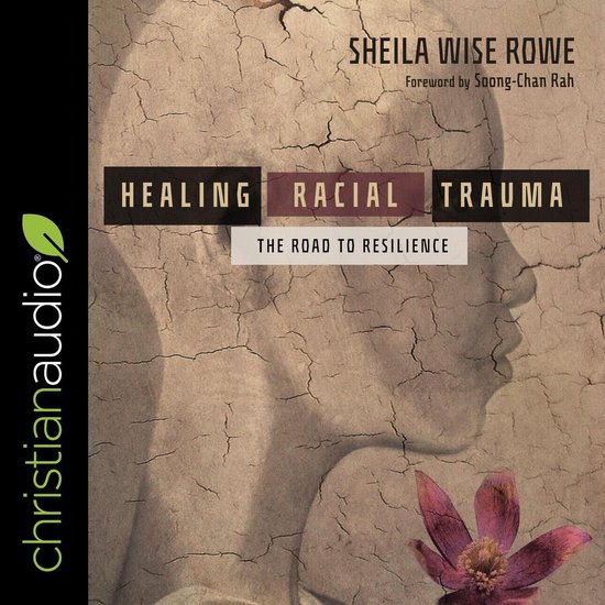 Healing Racial Trauma - cover