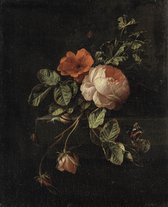 Stilleven met rozen, Elias van den Broeck, 1670 - 1708 op aluminium dibond