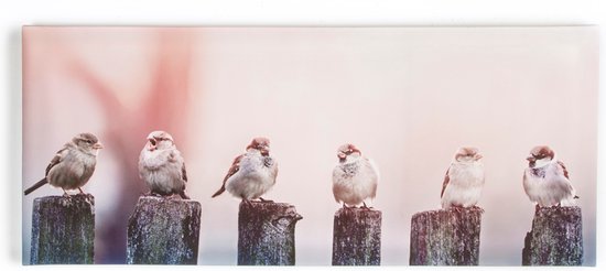 Graham & Brown - Early Morning Tweets (100x40 cm)
