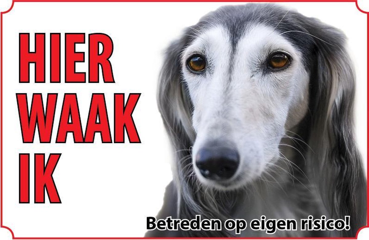 Bord Hond Greyhound