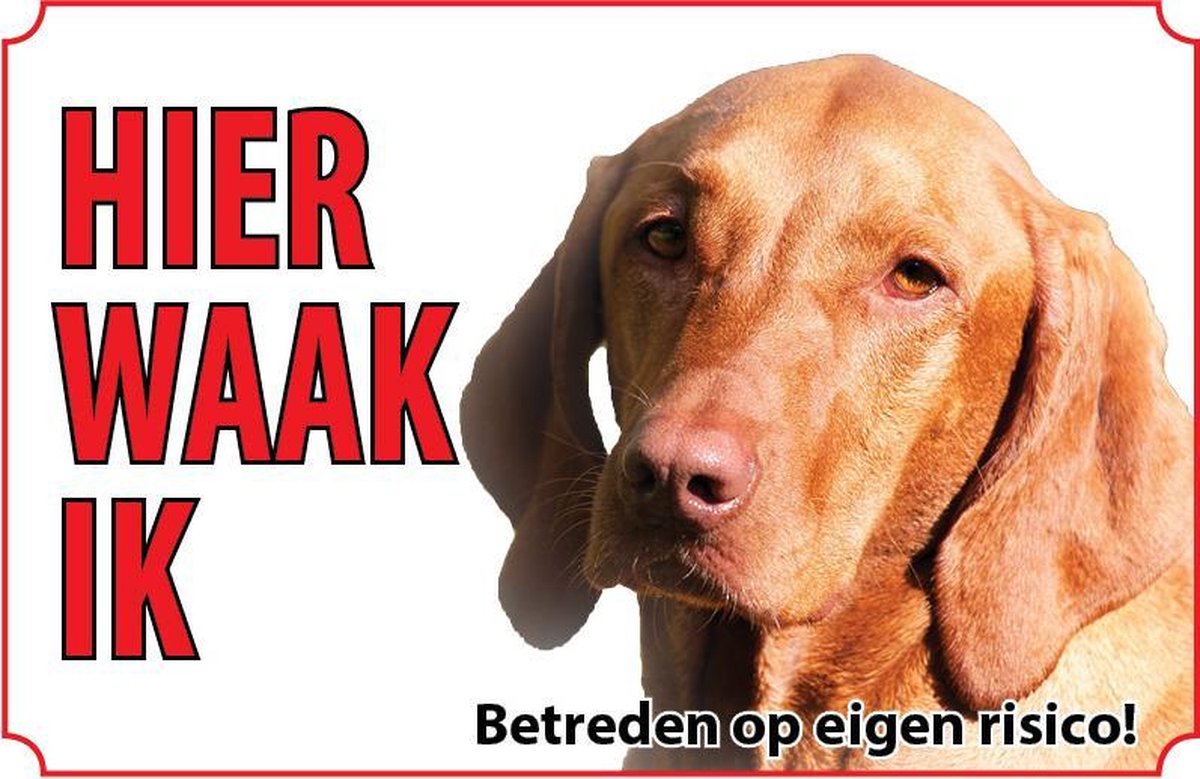 Hond Hongaarse Vizsla