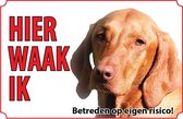 Hond Hongaarse Vizsla