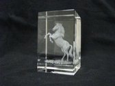 Glasblokje paard
