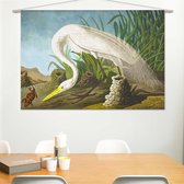 Wandkleed-XL Witte reiger van John James Audubon