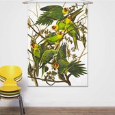 Wandkleed-XL Dwergpapegaaien van John James Audubon