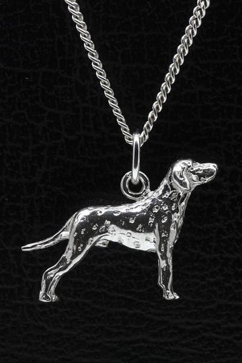 Zilveren Dalmarische hond ketting hanger - groot
