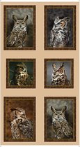 Quilting Treasures Quiltstof Panel Katoen Nocturnal Wonders. Uilen Licht 27064-E