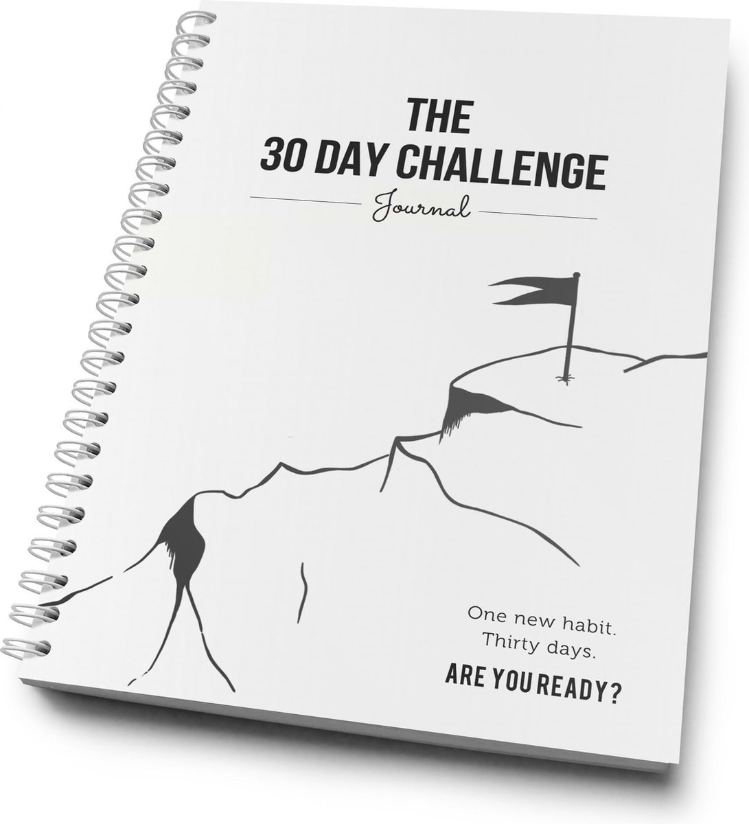 The 30 Day Challenge Journal