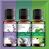 CareScent Perfect Start Etherische Olie Set | Lavendel olie + Eucalyptus olie + Bergamot olie Bundel | 3x Essentiële Oliën voor Aromatherapie | Sauna en Bad | Aroma Diffuser Olie (30 ml)