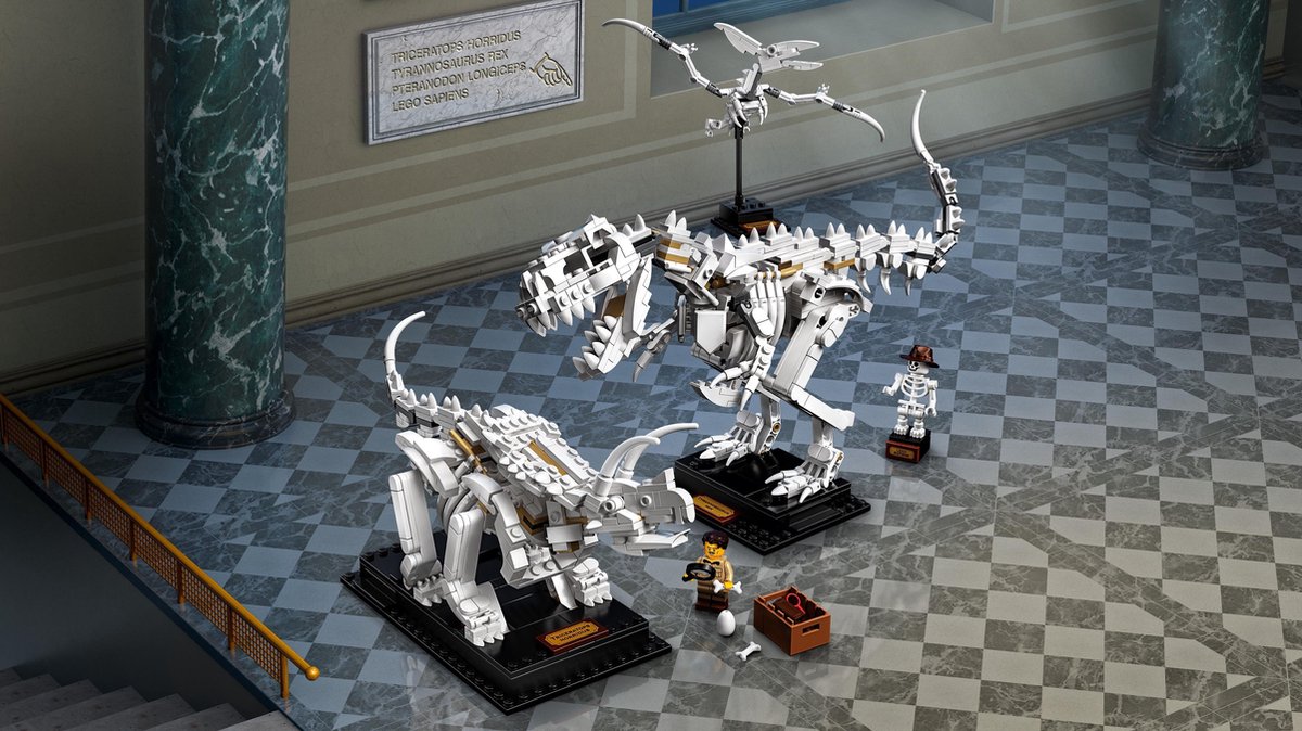 LEGO Ideas Les fossiles de dinosaures - 21320 | bol