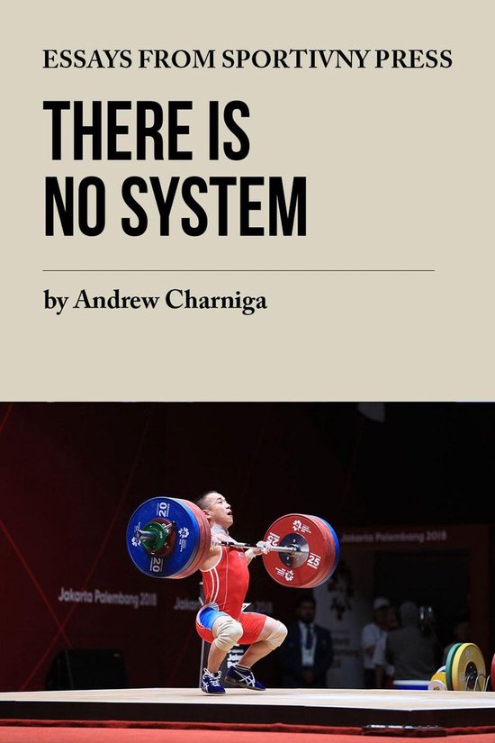 There is No System - cover