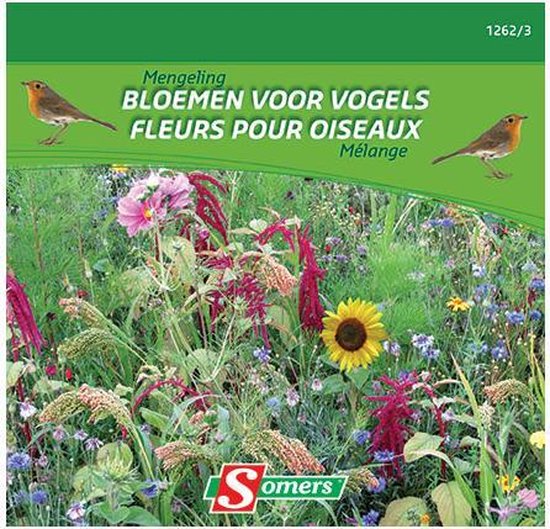 Tuinzaden bestellen? | Groente, kruiden en bloemen