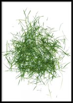 Poster Grasspriet - 50x70cm - Gras Poster