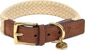 Fantail Halsband Tau Bruin - Hondenhalsband - 50 cm