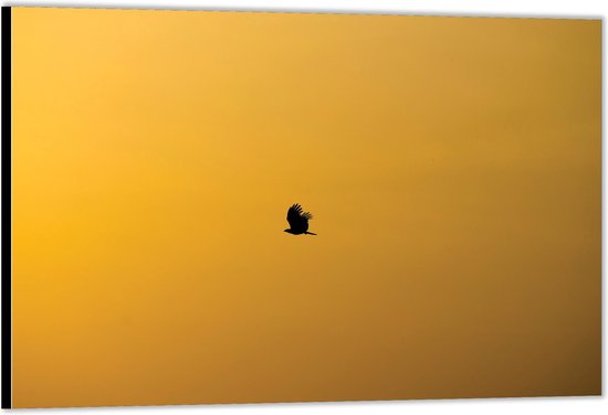 Dibond -Zwart Vogeltje op Gele Achtergrond- Foto op Aluminium (Wanddecoratie van metaal)