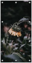 Tuinposter –Treurige Zonnebloem – 100x200cm Foto op Tuinposter (wanddecoratie voor buiten en binnen)